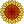 material-icon-sunflower-101121-24x24.png