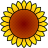 material-icon-sunflower-101121-48x48.png