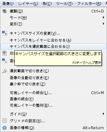 gimp-image-resize-to-selection.png